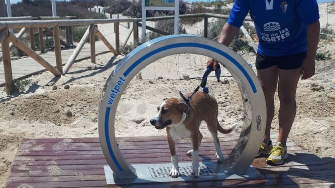 Ejemplo de ducha canina, en la playa de Camposoto.