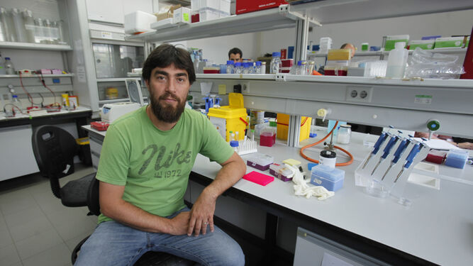 El biólogo Miguel Ángel Moreno Mateos, en su laboratorio.