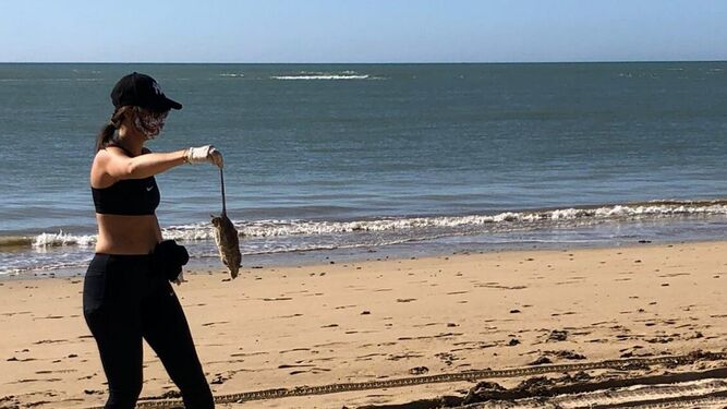 Una voluntaria del colectivo roteño Move For You, retirando una rata muerta del litoral de Rota.