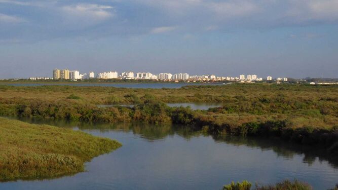Una panorámica del Parque Natural de la Bahía de Cádiz.