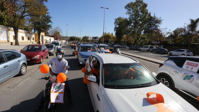 Caravana de coches contra la ley Cela&aacute; en Jerez