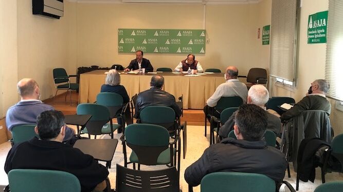 Última reunión del año de la junta directiva de Asajaa-Huelva.
