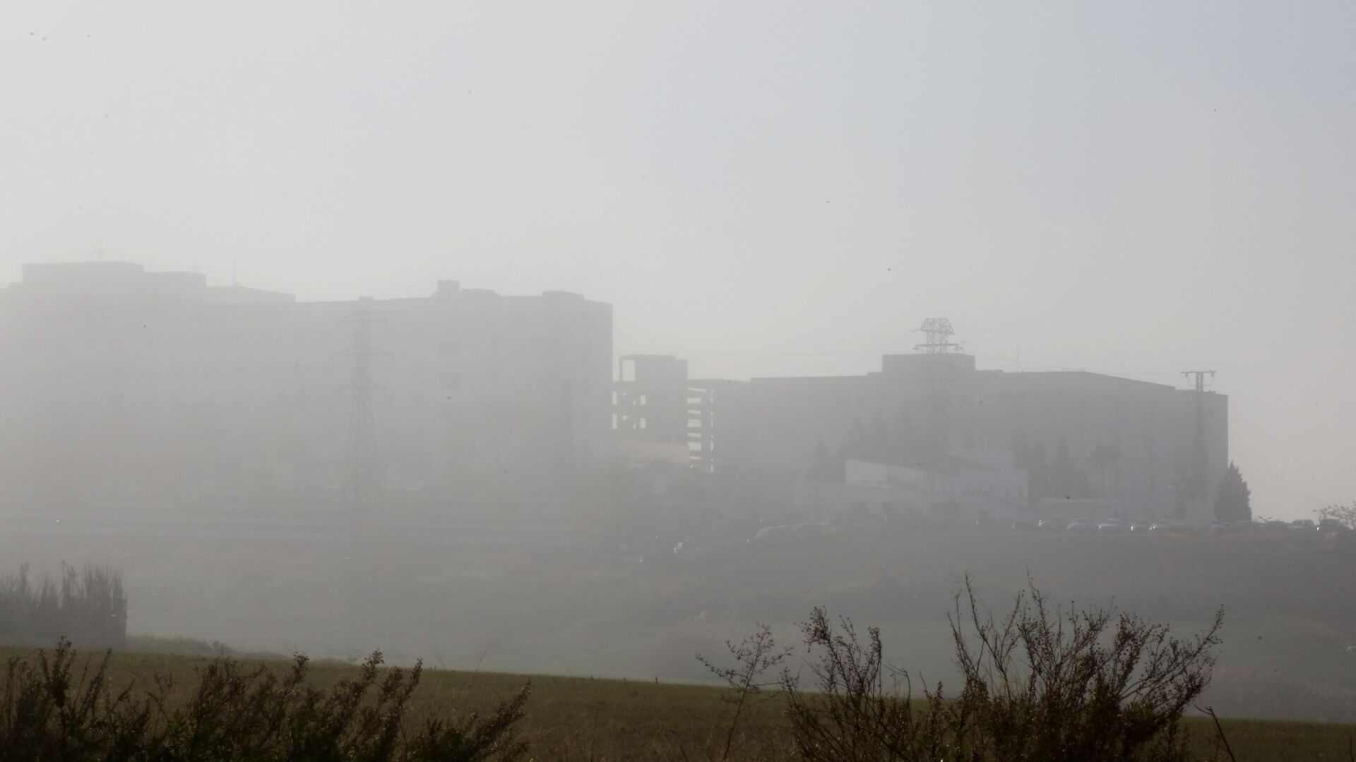 Im&aacute;genes de Jerez bajo la niebla