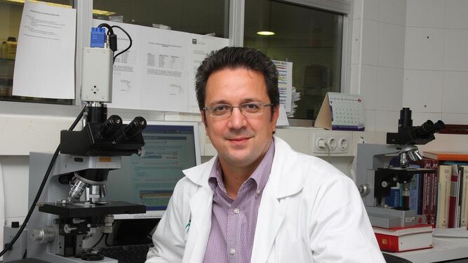 El doctor José Antonio Pérez Simón,  jefe de Servicio y director de Hematología y Hemoterapia en el Hospital Virgen del Rocío de Sevilla.