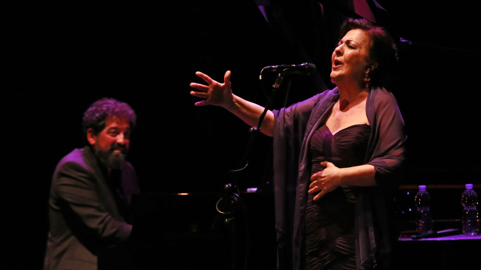 Carmen Linares '40 a&ntilde;os de flamenco', en el Teatro Villamarta