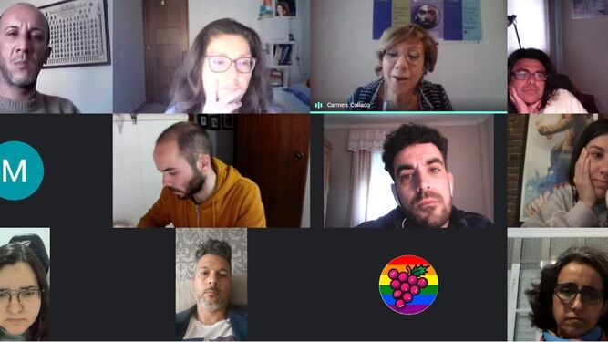 Reunión virtual de la diputada Carmen Collado con los representantes de colectivos LGTBI .