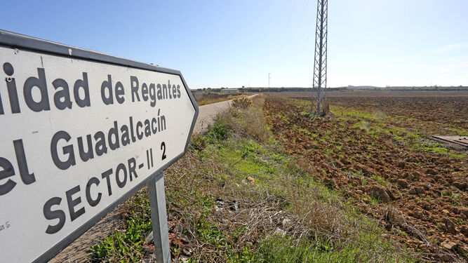 Parte de los parques se construirán próximas a las instalaciones de la Comunidad de Regantes del Guadalcacín en Torrecera.