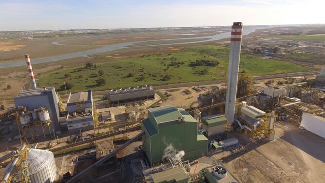Complejo energético con biomasa de Ence  en Huelva.