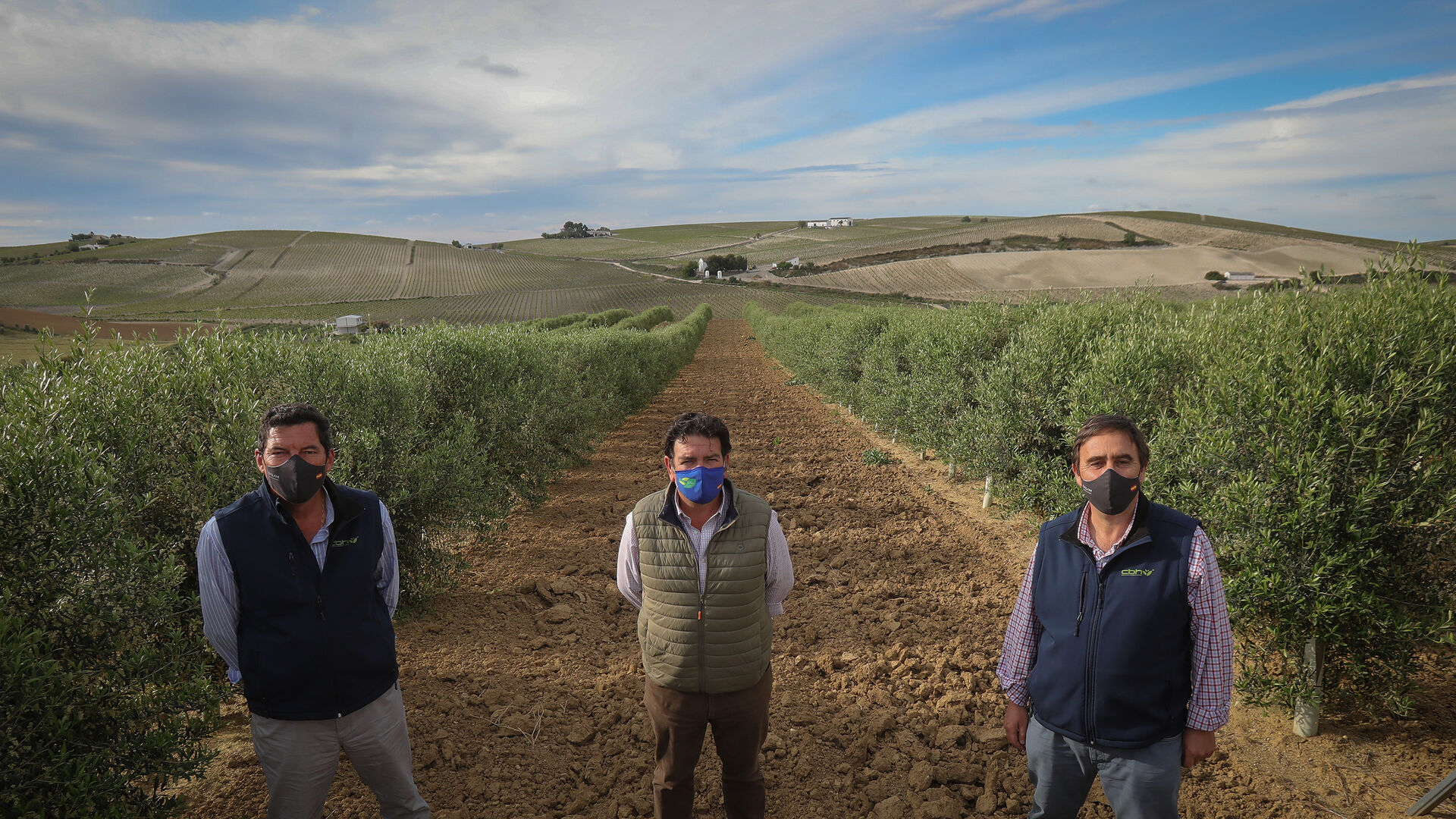 Alfonso Cuesta, Alexis Ferral y Diego Torrej&oacute;n, entre olivos en plena campi&ntilde;a con las vi&ntilde;as al fondo en la carretera de El Calvario.