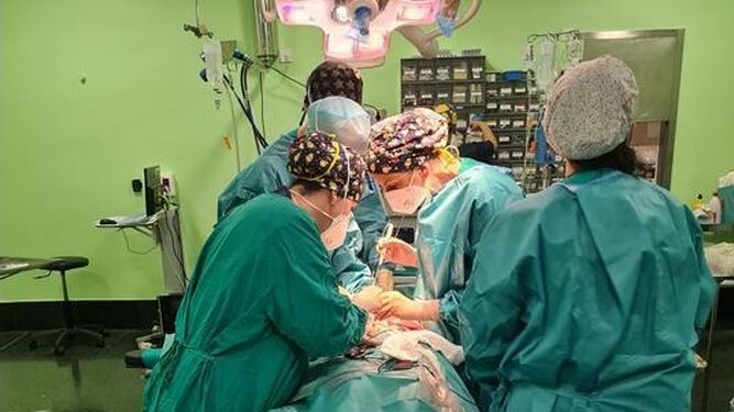 Imagen de una de las intervenciones conjunta de Ginecología y Cirugía del hospital de Jerez.