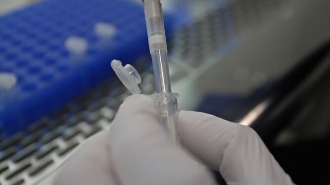 El Defensor pide precios máximos a PCR en clínicas privadas para contener Covid