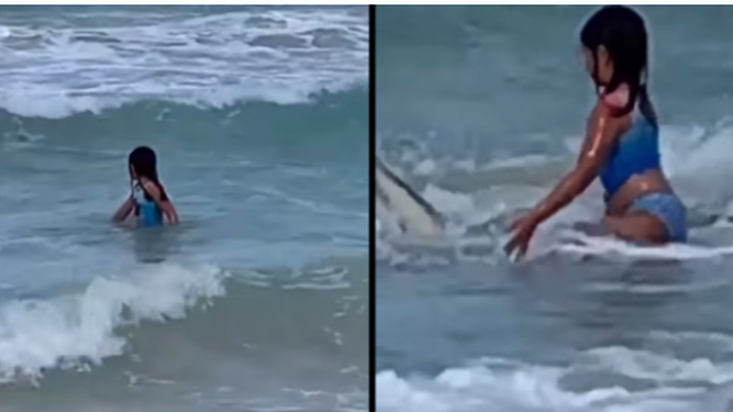 Un tiburón provoca el pánico en esta niña mientras su madre lo graba sin darse cuenta