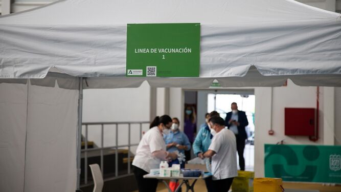 Punto de vacunación en el pabellón Enrique Márquez.