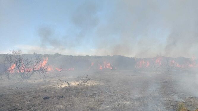 Declarado un incendio forestal en el Pinar de la Algaida, en Sanlúcar.