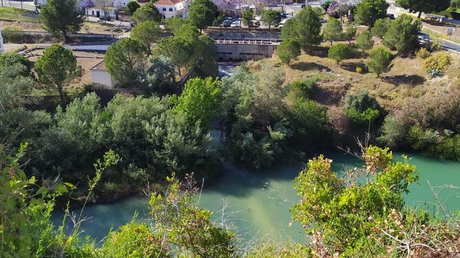 Punto del río Guadalete en Arcos donde se percibe el vertido, según Ama Natura