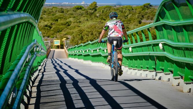 Un ciclista por un puente para acceder a los pinares de Puerto Real