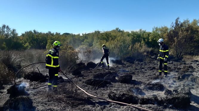 Intervención de los bomberos en el incendio que se registró el pasado sábado junto al pinar de La Algaida.