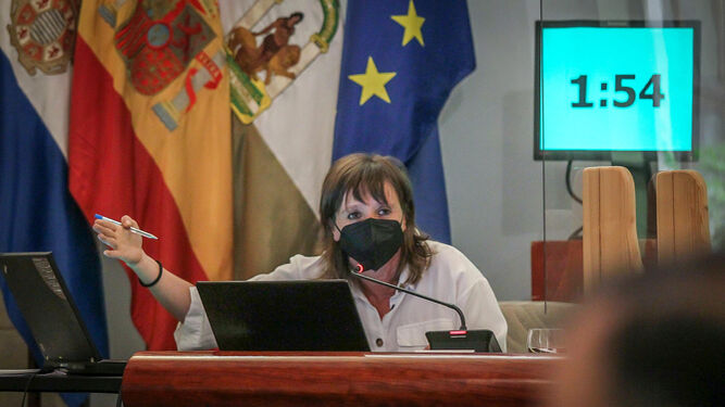 La delegada de Economía, Laura Álvarez, durante el pleno de este jueves.