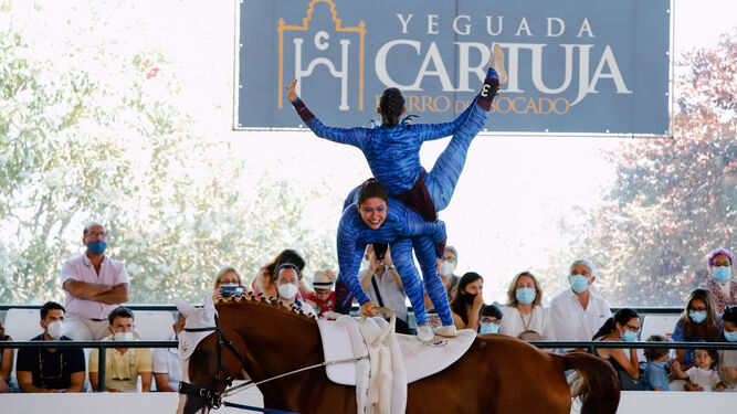 El Campeonato de España de Volteo se ha celebrado en la Yeguada Cartuja Hierro del Bocado.