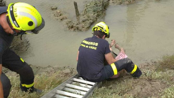 Momento en que un bombero ayuda a salir a la mujer atrapada en fango del caño del Carrascón.