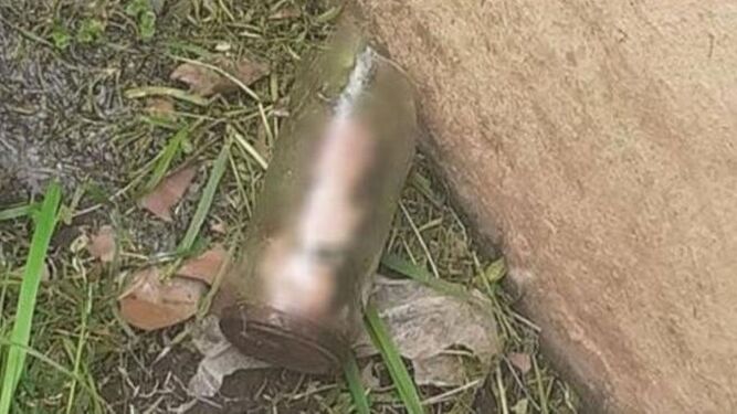 Un jardinero encuentra un pene mutilado dentro de un bote de cristal
