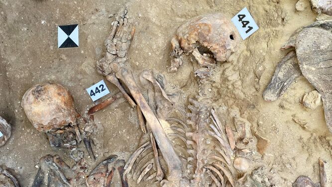 Nuevos cuerpos hallados en los trabajos de exhumación llevados a cabo en el cementerio isleño.