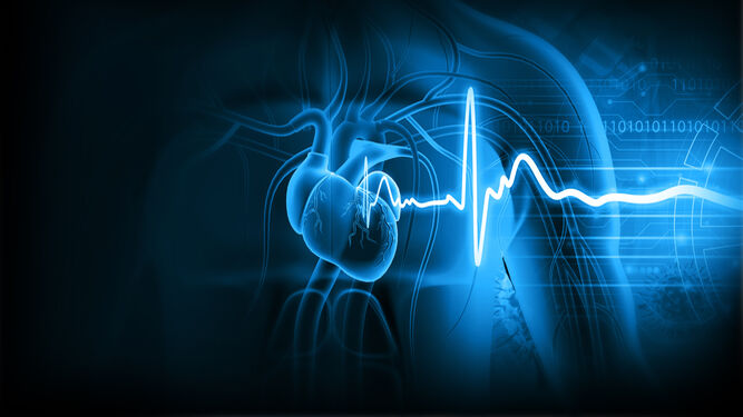 Estas son las principales enfermedades que amenazan tu corazón: aprende a identificarlas