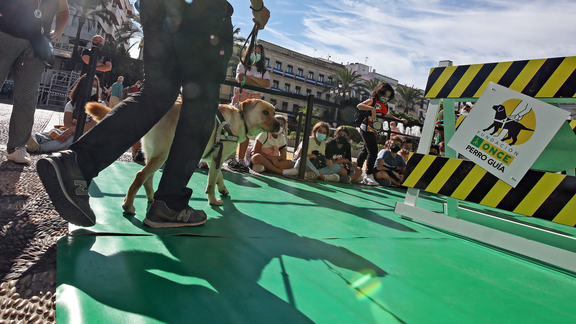 Exhibici&oacute;n en la plaza del Arenal del adiestramiento de perros gu&iacute;a de la ONCE