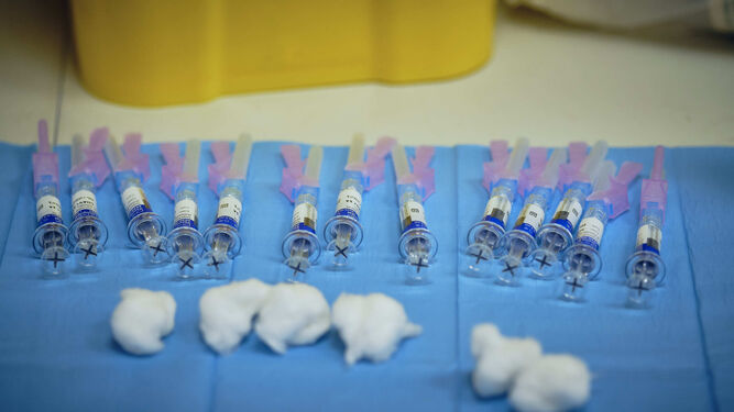 Dosis de la vacuna de la gripe, en una imagen de archivo.