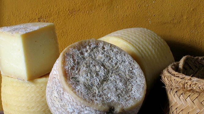 Una muestra de quesos de la Sierra.