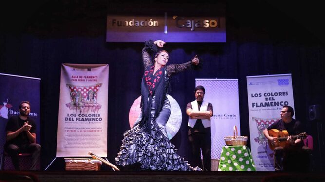 Un momento del espectáculo 'Los Colores del Flamenco' de la compañía Teatro Estudio Jerez.