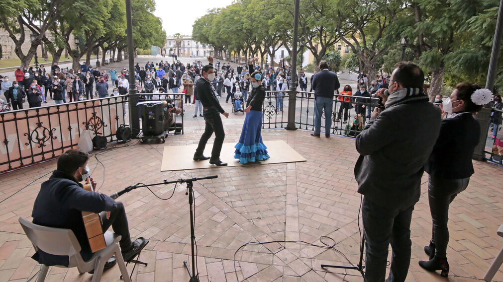 Las mejores im&aacute;genes del Flashmob flamenco de Afanas