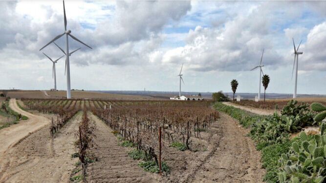 El Ayuntamiento de Jerez responsabiliza a la Junta de la "avalancha" de las energías renovables