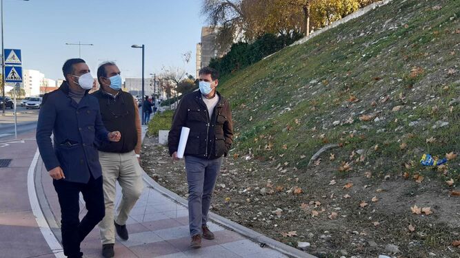 Nueva zona verde en el talud de Reina Sofía a la altura de Eduardo Delage y Las Torres