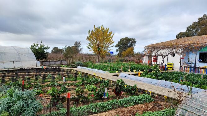 Una imagen del Centro Experimental Agrícola y Ganadero de Jerez.