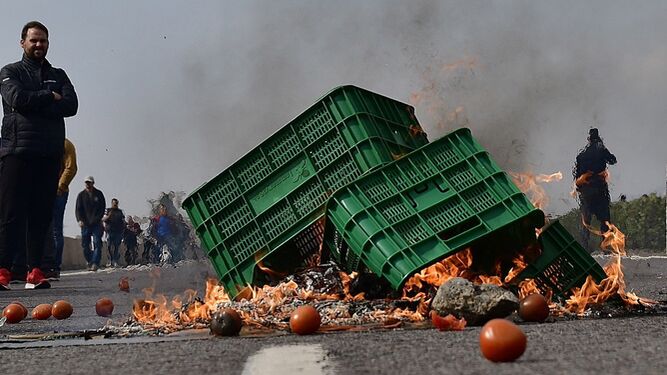 Agricultor quema cajones de tomates en la calzada en el marco de las protestas que realiza el sector en los últimos años, interrumpidas solo por la pandemia.