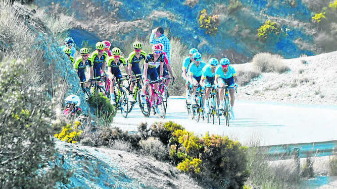 Grupeta de ciclistas suben a Armilla en la Vuelta a Andalucía.