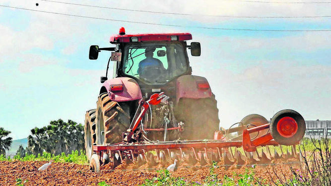 Un agricultor prepara la tierra para las siembras con ayuda de un tractor.