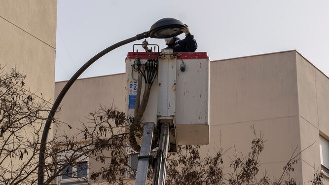 Un operario sustituye las luminarias de una de las farolas en Camposoto.