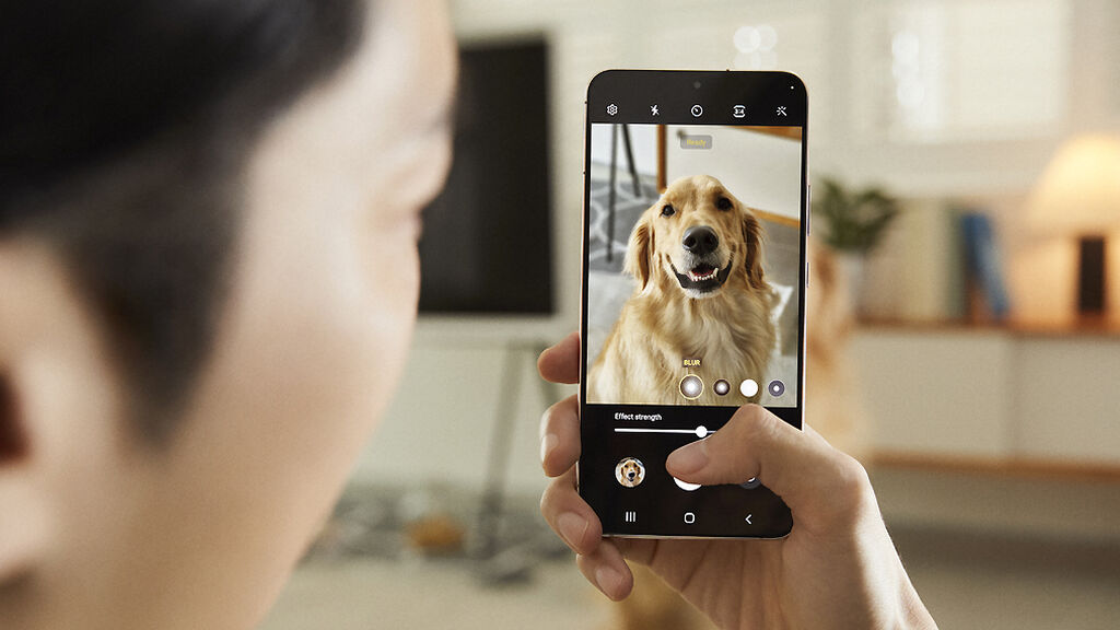 Retrato de mascotas con el Samsung Galaxy S22 Plus