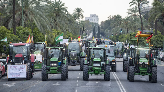 Las imágenes de la manifestación de agricultores de toda Andalucía en Sevilla