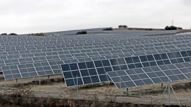 Una de las plantas fotovoltaicas que ya está operativa en Jerez.