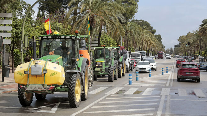 Tractores en la caravana de transportistas de Jerez.