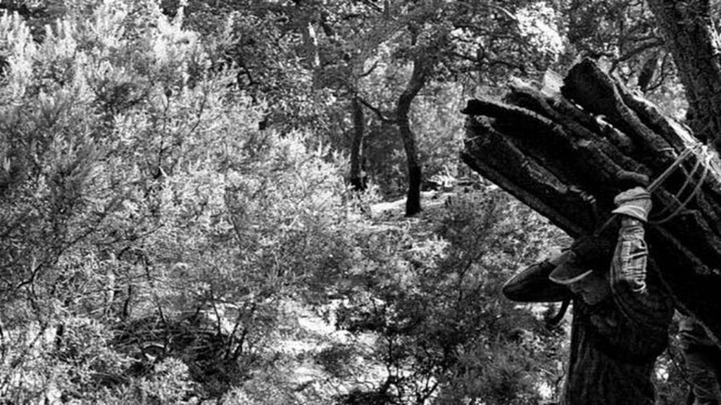 'Quej&iacute;os en el bosque' de Javier Serrano, en el campus