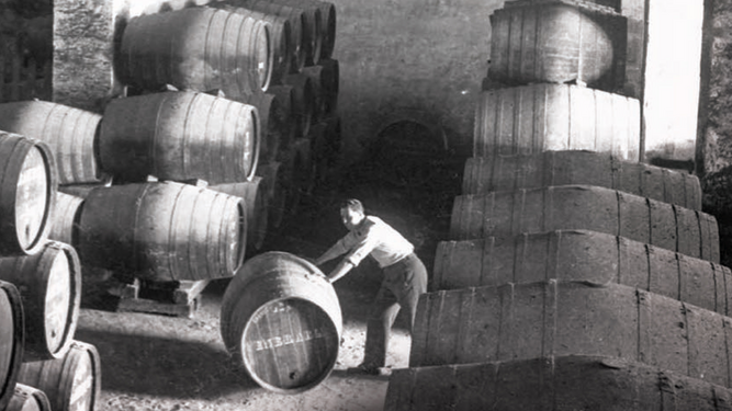 Lecturas muy personales sobre el vino de Jerez