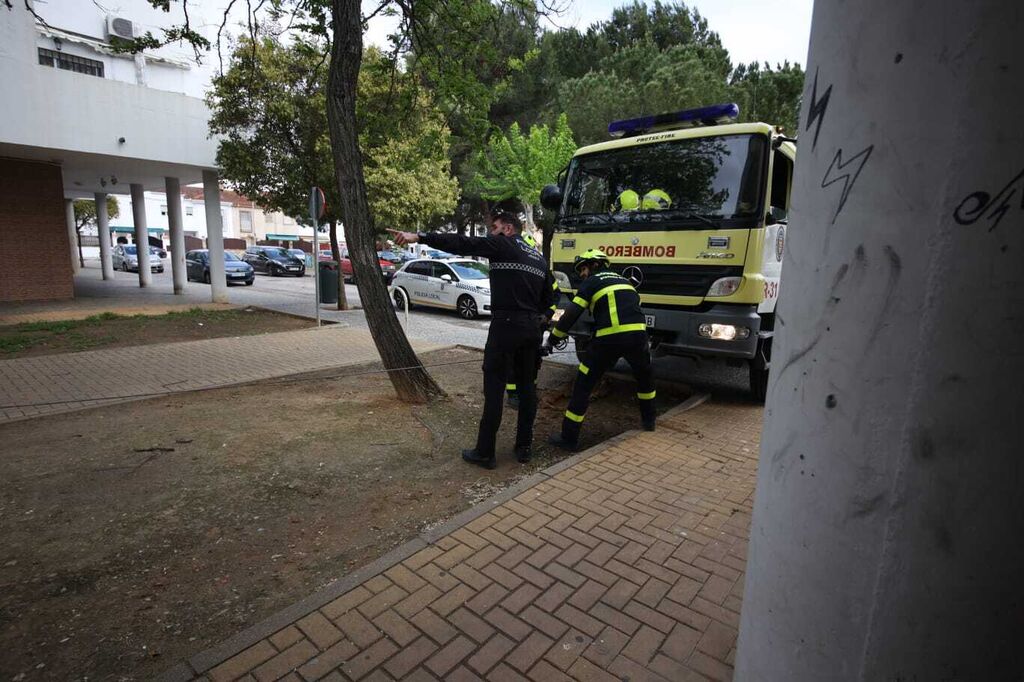 As&iacute; ha sido la actuaci&oacute;n de los bomberos de Jerez para retirar un &aacute;rbol y evitar da&ntilde;os en viviendas