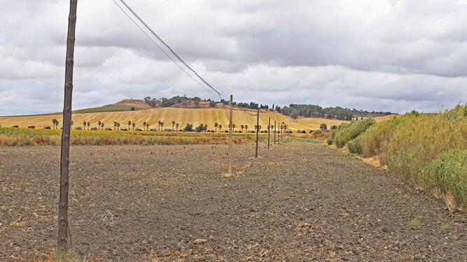 Terrenos donde se proyecta el futuro parque fotovoltaico cerca de Mesas de Asta.