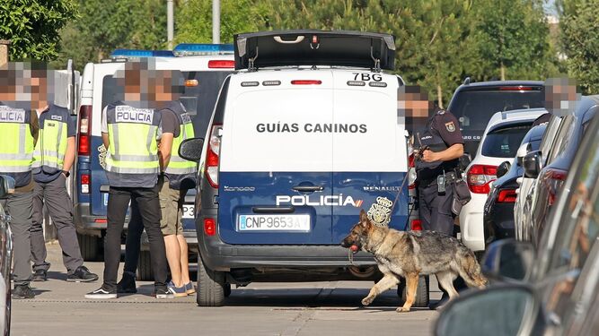 Uno de los perros de la Policía Nacional empleados en el registro