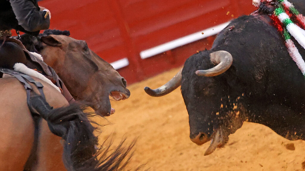 Toros en Jerez: El arte ecuestre