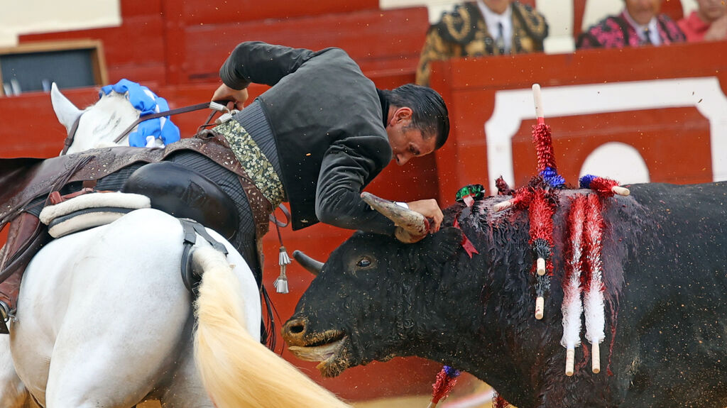Toros en Jerez: El arte ecuestre